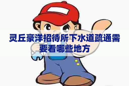 灵丘豪洋招待所下水道疏通需要看哪些地方