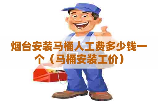 烟台安装马桶人工费多少钱一个（马桶安装工价）