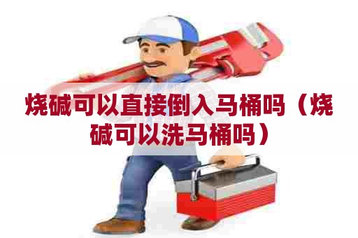 烧碱可以直接倒入马桶吗（烧碱可以洗马桶吗）