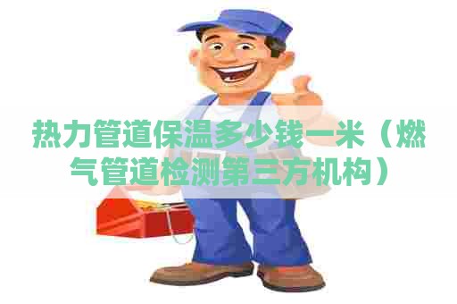 热力管道保温多少钱一米（燃气管道检测第三方机构）