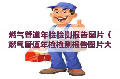 燃气管道年检检测报告图片（燃气管道年检检测报告图片大全）