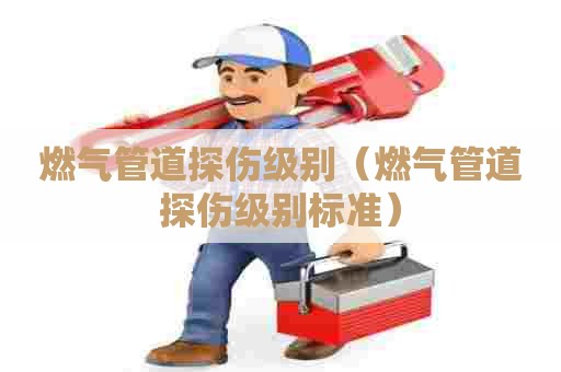 燃气管道探伤级别（燃气管道探伤级别标准）