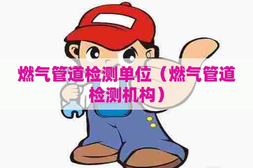 燃气管道检测单位（燃气管道检测机构）