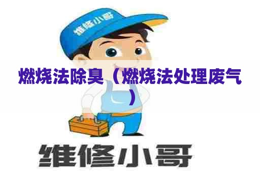 燃烧法除臭(燃烧法处理废气) 燃烧法除臭(燃烧法处理废气)