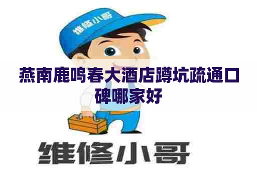 燕南鹿鸣春大酒店蹲坑疏通口碑哪家好