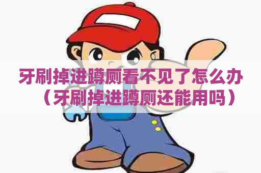 牙刷掉进蹲厕看不见了怎么办（牙刷掉进蹲厕还能用吗）