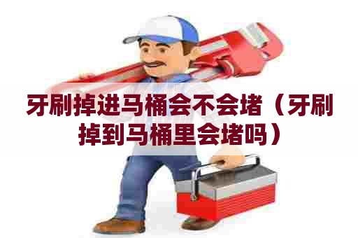 牙刷掉进马桶会不会堵（牙刷掉到马桶里会堵吗）