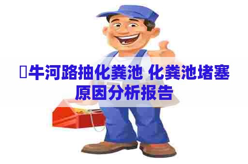 牤牛河路抽化粪池 化粪池堵塞原因分析报告