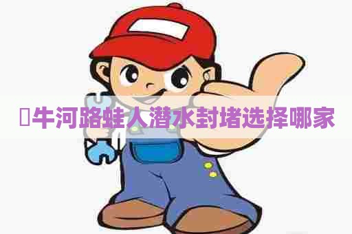 牤牛河路蛙人潜水封堵选择哪家