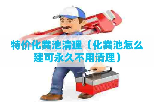 特价化粪池清理（化粪池怎么建可永久不用清理）