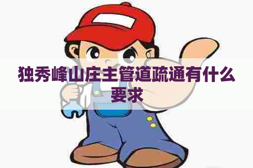 独秀峰山庄主管道疏通有什么要求