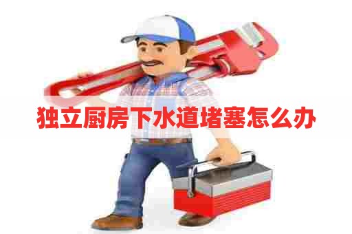 独立厨房下水道堵塞怎么办 独立厨房下水道堵塞怎么办