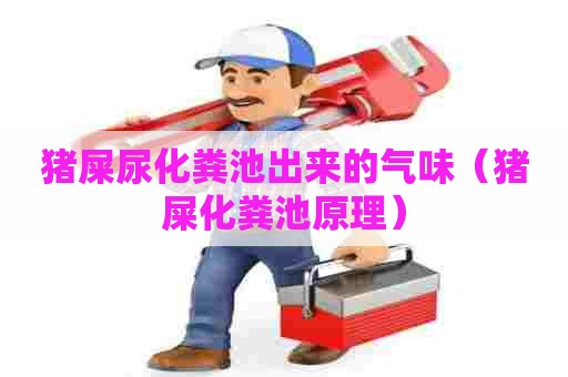 猪屎尿化粪池出来的气味（猪屎化粪池原理）