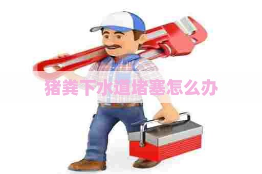 猪粪下水道堵塞怎么办