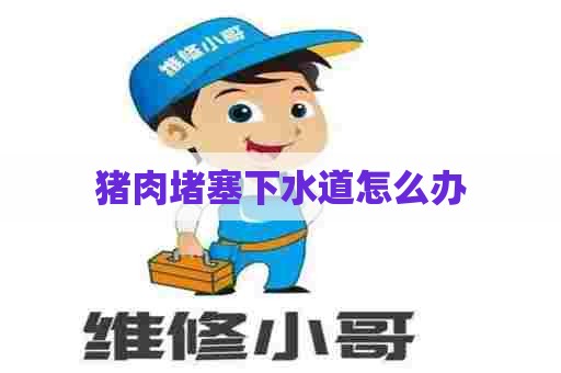 猪肉堵塞下水道怎么办