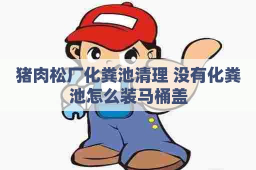猪肉松厂化粪池清理 没有化粪池怎么装马桶盖