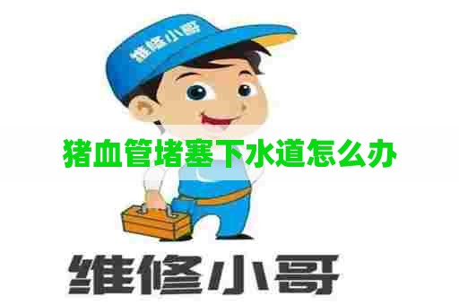 猪血管堵塞下水道怎么办