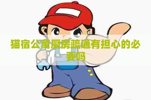 猫宿公寓厨房疏通有担心的必要吗 猫宿公寓厨房疏通有担心的必要吗