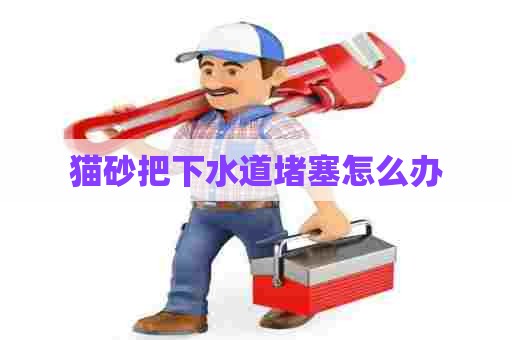 猫砂把下水道堵塞怎么办