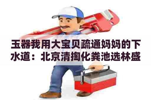 玉器我用大宝贝疏通妈妈的下水道：北京清掏化粪池选林盛瑞发管道疏通