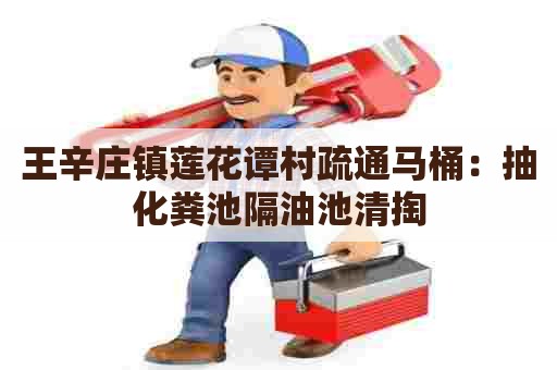 王辛庄镇莲花谭村疏通马桶：抽化粪池隔油池清掏