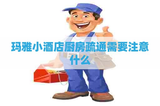 玛雅小酒店厨房疏通需要注意什么 玛雅小酒店厨房疏通需要注意什么