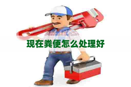 现在粪便怎么处理好