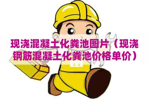 现浇混凝土化粪池图片（现浇钢筋混凝土化粪池价格单价）