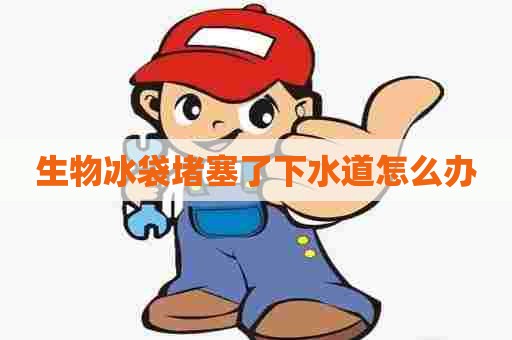 生物冰袋堵塞了下水道怎么办