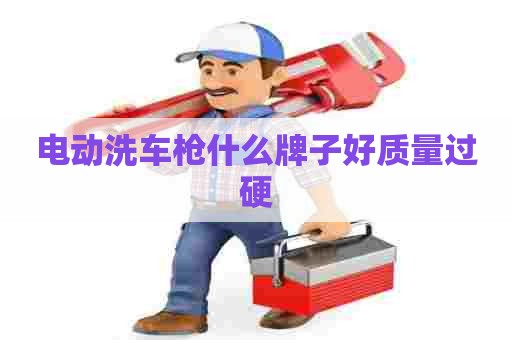 电动洗车枪什么牌子好质量过硬