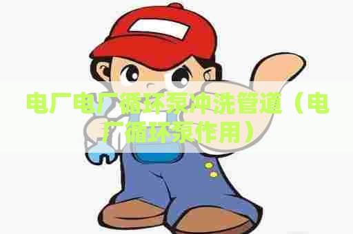 电厂电厂循环泵冲洗管道（电厂循环泵作用）