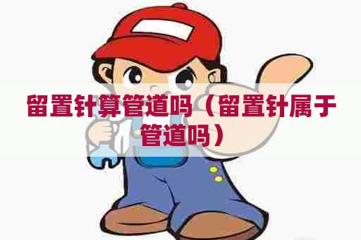 留置针算管道吗（留置针属于管道吗）