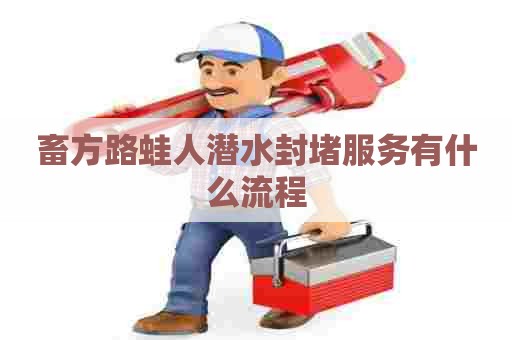 畜方路蛙人潜水封堵服务有什么流程