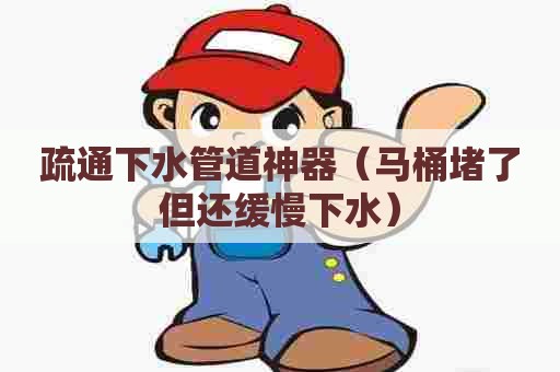 疏通下水管道神器（马桶堵了但还缓慢下水）
