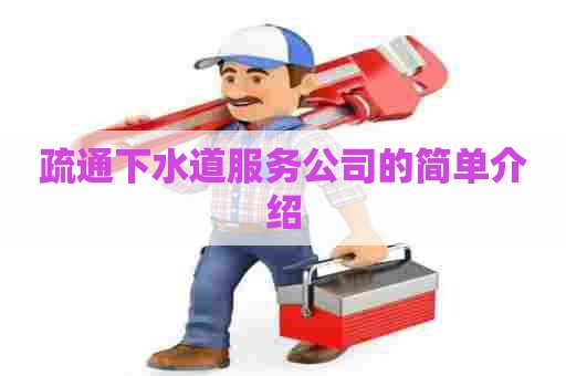 疏通下水道服务公司的简单介绍