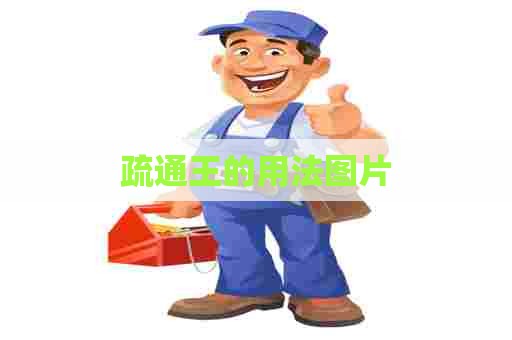 疏通王的用法图片
