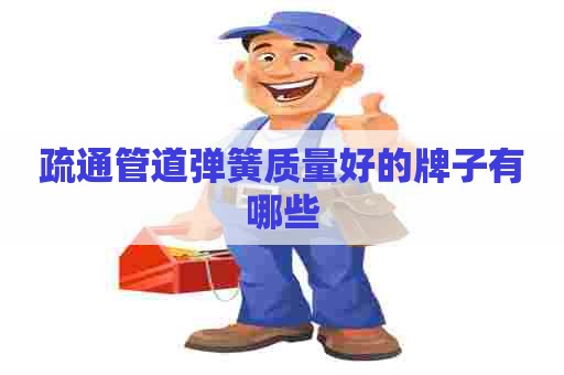 疏通管道弹簧质量好的牌子有哪些