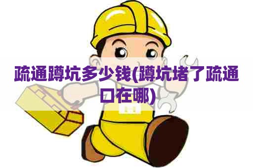 疏通蹲坑多少钱(蹲坑堵了疏通口在哪)