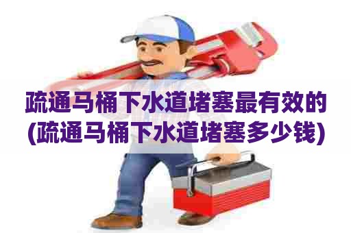 疏通马桶下水道堵塞最有效的(疏通马桶下水道堵塞多少钱)