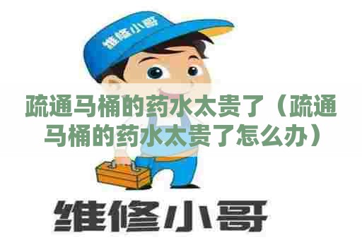 疏通马桶的药水太贵了（疏通马桶的药水太贵了怎么办）