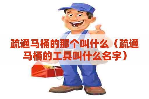 疏通马桶的那个叫什么（疏通马桶的工具叫什么名字）