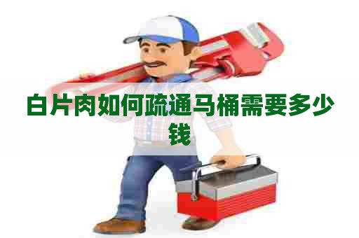 白片肉如何疏通马桶需要多少钱