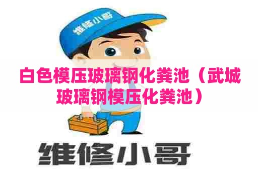 白色模压玻璃钢化粪池（武城玻璃钢模压化粪池）