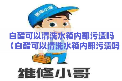白醋可以清洗水箱内部污渍吗（白醋可以清洗水箱内部污渍吗）