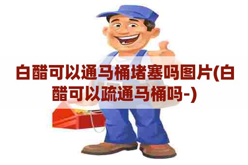 白醋可以通马桶堵塞吗图片(白醋可以疏通马桶吗-)