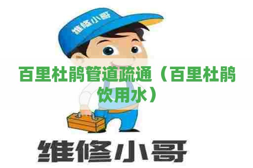 百里杜鹃管道疏通（百里杜鹃饮用水）