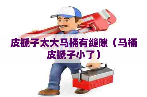 皮搋子太大马桶有缝隙（马桶皮搋子小了）