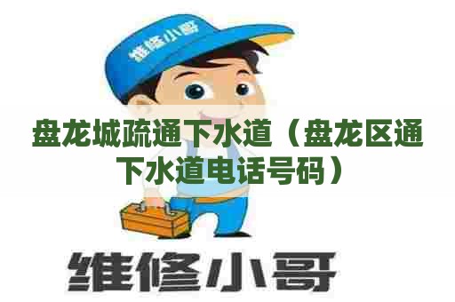 盘龙城疏通下水道（盘龙区通下水道电话号码）