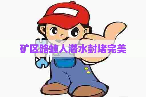 矿区路蛙人潜水封堵完美