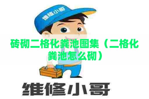 砖砌二格化粪池图集（二格化粪池怎么砌）